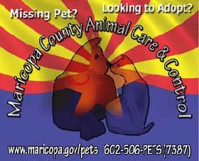 Maricopa County Animal Care & Control, Phoenix, AZ